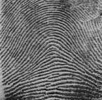 empreinte digitale type arche